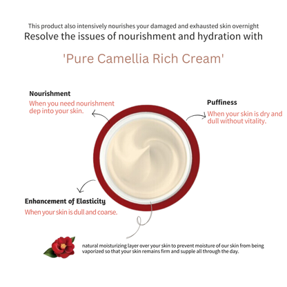 [JEJU INDI] Camellia Vital Rich Cream 50ml